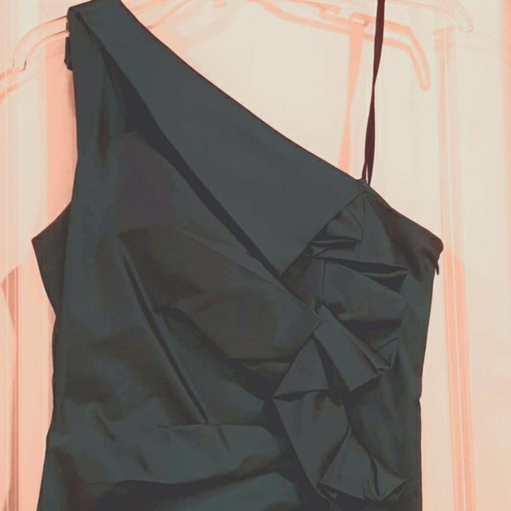 David Meister dress size 10